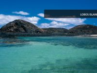 fuerteventura-beach-9